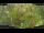 Webcam in Nakhon Ratchasima (Korat), 871.2 km