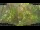Webcam in Nakhon Ratchasima (Korat), 599.1 km