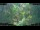 Webcam in Nakhon Ratchasima (Korat), 342.6 mi away