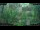 Webcam in Nakhon Ratchasima (Korat), 218.3 km