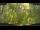 Webcam in Nakhon Ratchasima (Korat), 797.9 km