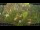 Webcam in Nakhon Ratchasima (Korat), 249.3 mi away