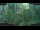 Webcam in Nakhon Ratchasima (Korat), 231.2 mi away