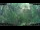 Webcam in Nakhon Ratchasima (Korat), 200.9 mi away