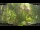Webcam in Nakhon Ratchasima (Korat), 84.1 mi away