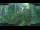 Webcam in Nakhon Ratchasima (Korat), 231.2 mi away