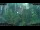 Webcam in Nakhon Ratchasima (Korat), 84.3 mi away