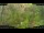Webcam in Nakhon Ratchasima (Korat), 550.4 km