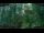 Webcam in Nakhon Ratchasima (Korat), 887.9 km entfernt