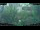 Webcam in Nakhon Ratchasima (Korat), 315.2 mi away
