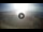 Webcam in Naples, 0.2 mi away