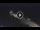 Webcam in the Risnjak National Park, 6.8 mi away