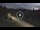 Webcam in the Risnjak National Park, 11.4 mi away