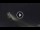 Webcam dans le Parc National Risnjak, 17.5 km