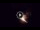 Webcam sull'isola di Stromboli, 0.3 km