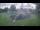 Webcam in Clute, Texas, 25.6 mi away
