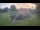 Webcam in Clute, Texas, 239.3 km