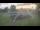 Webcam in Clute, Texas, 89.7 km entfernt