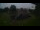 Webcam in Clute, Texas, 61 mi away