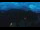 Webcam in Unterwössen, 0.9 mi away