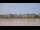 Webcam in Bordeaux, 0 mi away