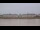Webcam in Bordeaux, 0 km