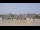 Webcam in Bordeaux, 0 km