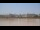 Webcam in Bordeaux, 0 km