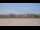 Webcam in Bordeaux, 6.6 mi away