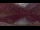 Webcam in Cauterets, 0 mi away