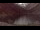 Webcam in Cauterets, 13.7 mi away
