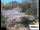 Webcam in Port Douglas, 22.8 mi away