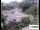 Webcam in Port Douglas, 558.6 mi away