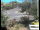 Webcam in Port Douglas, 22.8 mi away
