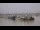 Webcam in Bordeaux, 0 mi away