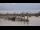 Webcam in Bordeaux, 0 mi away