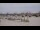 Webcam in Bordeaux, 0 mi away