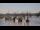 Webcam in Bordeaux, 0 mi away