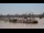 Webcam in Bordeaux, 0 mi away