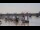 Webcam in Bordeaux, 0 km entfernt