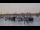 Webcam in Bordeaux, 20.7 km