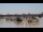 Webcam in Bordeaux, 0 mi away