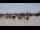 Webcam in Bordeaux, 63.5 km entfernt