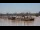 Webcam in Bordeaux, 0 mi away