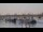 Webcam in Bordeaux, 0 mi away
