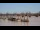 Webcam in Bordeaux, 0 mi away