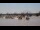 Webcam in Bordeaux, 0 mi away