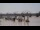 Webcam in Bordeaux, 0 mi away