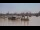 Webcam in Bordeaux, 1.4 mi away
