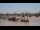 Webcam in Bordeaux, 6.6 mi away